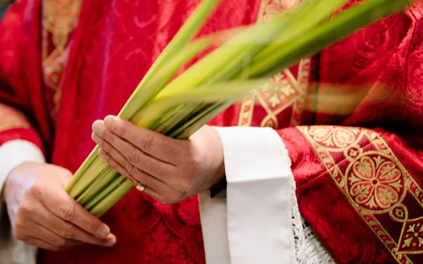 As Plantas e os Portugueses – Tradições Religiosas