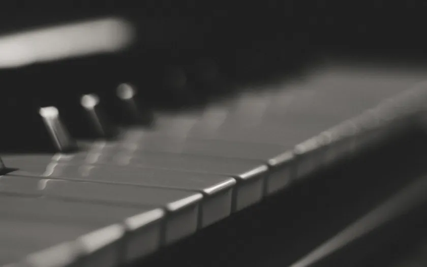 5 Leituras #31, por Miguel Tamen: Um livro, um ensaio e três músicas