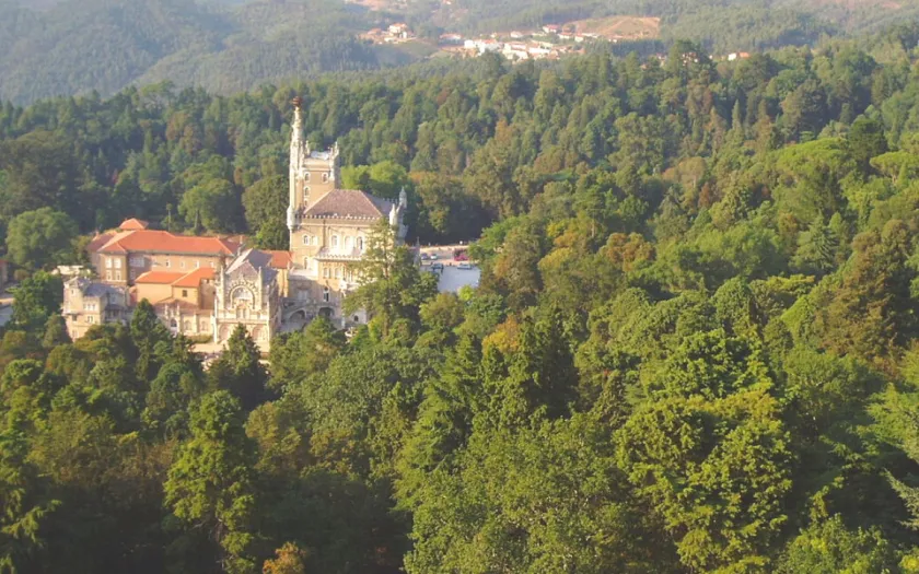 Capa artigo Buçaco bosque sagrado Mário Beja Santos