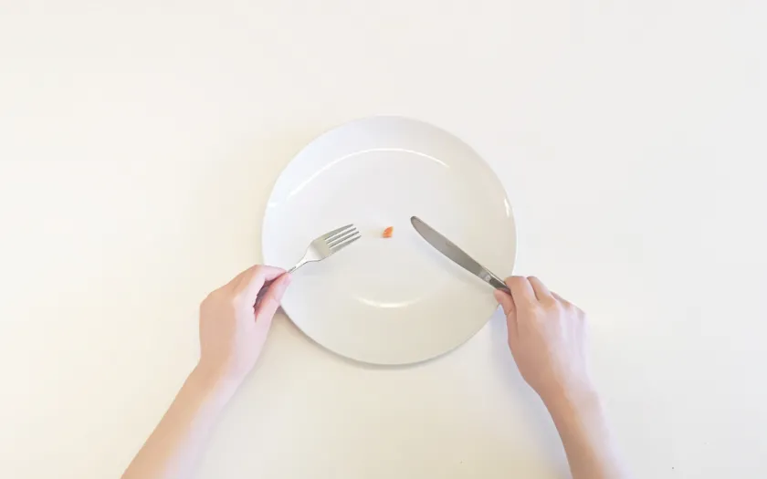 Imagem de um prato com um pedaço de cenoura