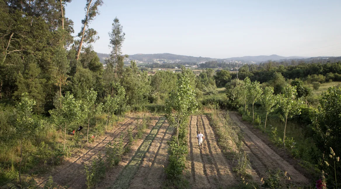 Quinta da Manguela - créditos Ricardo Meireles