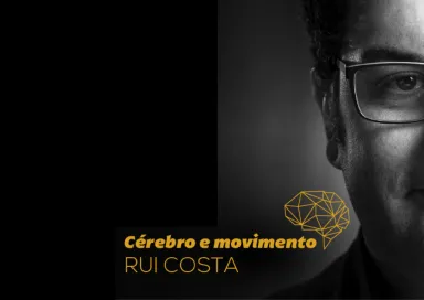  Cerebro e movimento Rui Costa MCE 2021