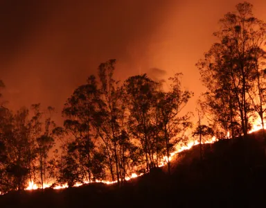 Capa debate Fogos florestais em Portugal: Antes, Durante e Depois