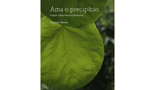 Ama o Precipicio