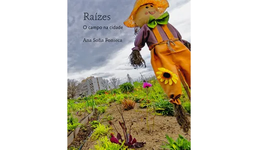 Raízes - O campo na cidade