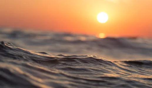 5 Leituras #10, por Filipa Melo: O mar real e ficcionado por Le Clézio, Foster Wallace e outros