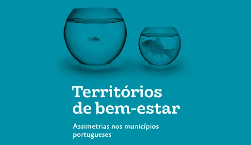 Territórios de bem-estar, Estudo da Fundação Francisco Manuel dos Santos