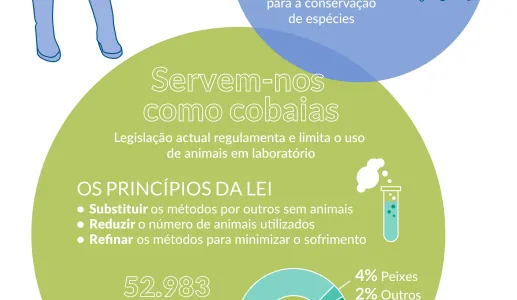 Infografia: "Nós e os Bichos"