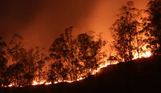 Capa debate Fogos florestais em Portugal: Antes, Durante e Depois