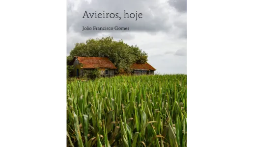 Livro Avieiros, hoje, de João Francisco Gomes