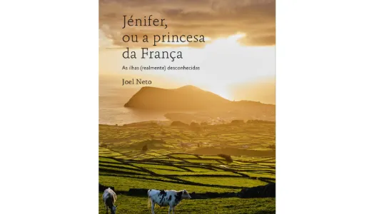 Imagem da capa do livro « Jénifer, ou a Princesa de França»