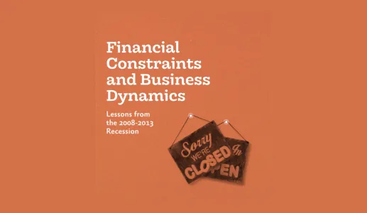 Imagem do estudo Financial Constraints and Business Dynamics