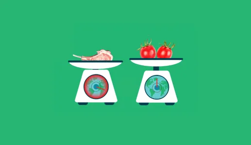 Imagem de duas balanças para ilustrar o artigo «Quais são os alimentos com maior pegada ecológica?»