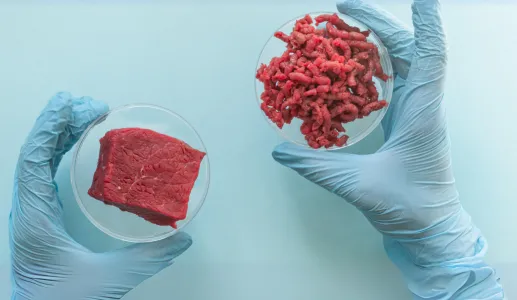 Imagem ilustrativa da lista «Carne produzida em laboratório: é este o futuro da alimentação?