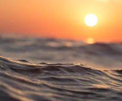 5 Leituras #10, por Filipa Melo: O mar real e ficcionado por Le Clézio, Foster Wallace e outros
