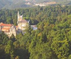 Capa artigo Buçaco bosque sagrado Mário Beja Santos