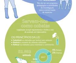 Infografia: "Nós e os Bichos"