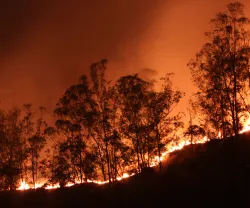 Capa debate Fogos florestais em Portugal: Antes, Durante e Depois