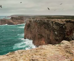 Imagem da costa portuguesa num dia de tempestade