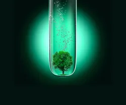 Imagem de uma ampulheta com uma árvore dentro, revela os desafios da ciência em 2023