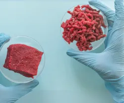 Imagem ilustrativa da lista «Carne produzida em laboratório: é este o futuro da alimentação?